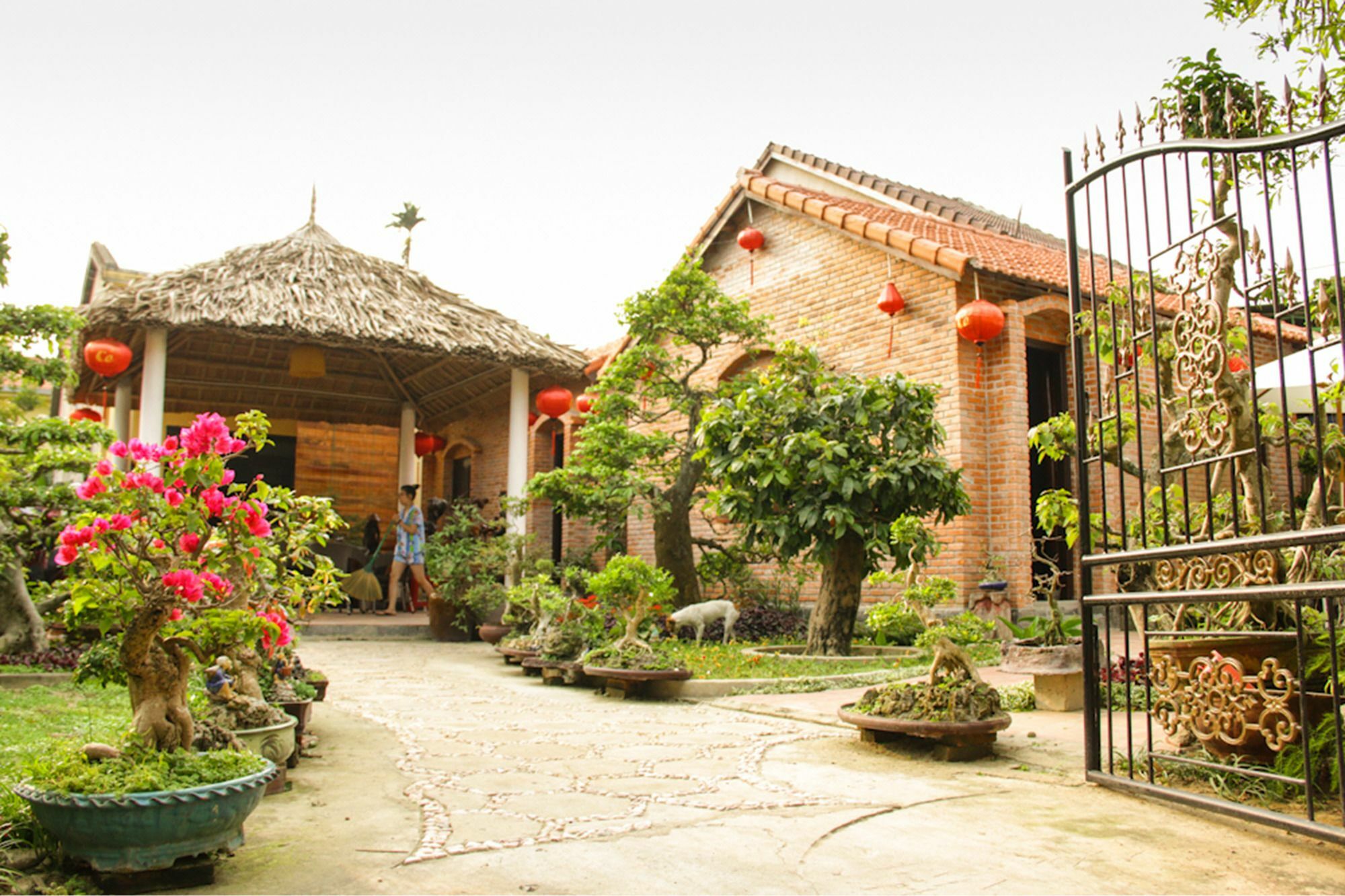 The Grass Vy Hoi An Exterior foto