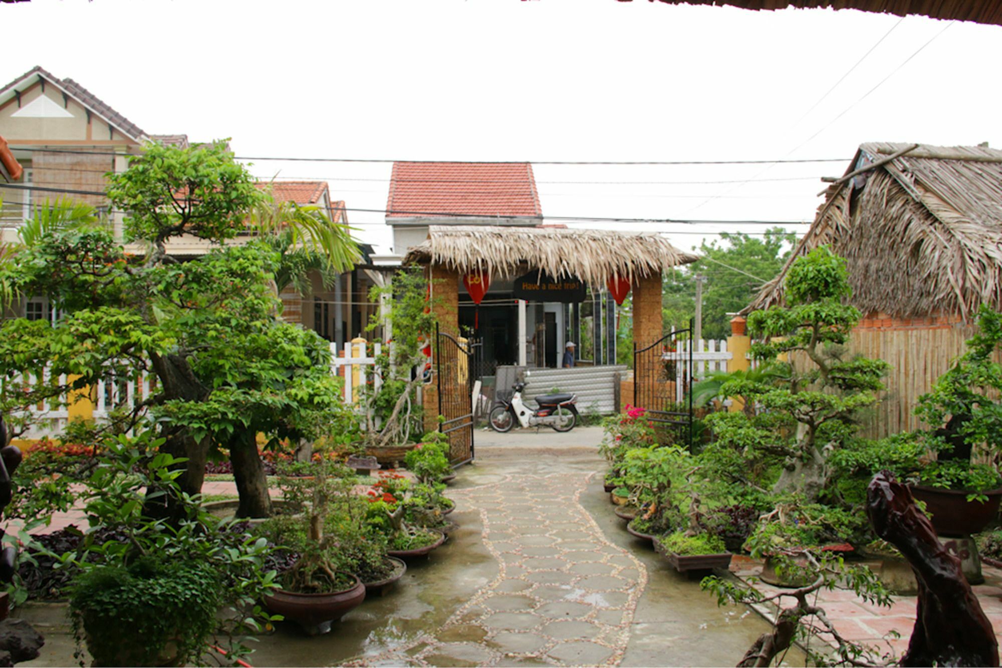 The Grass Vy Hoi An Exterior foto