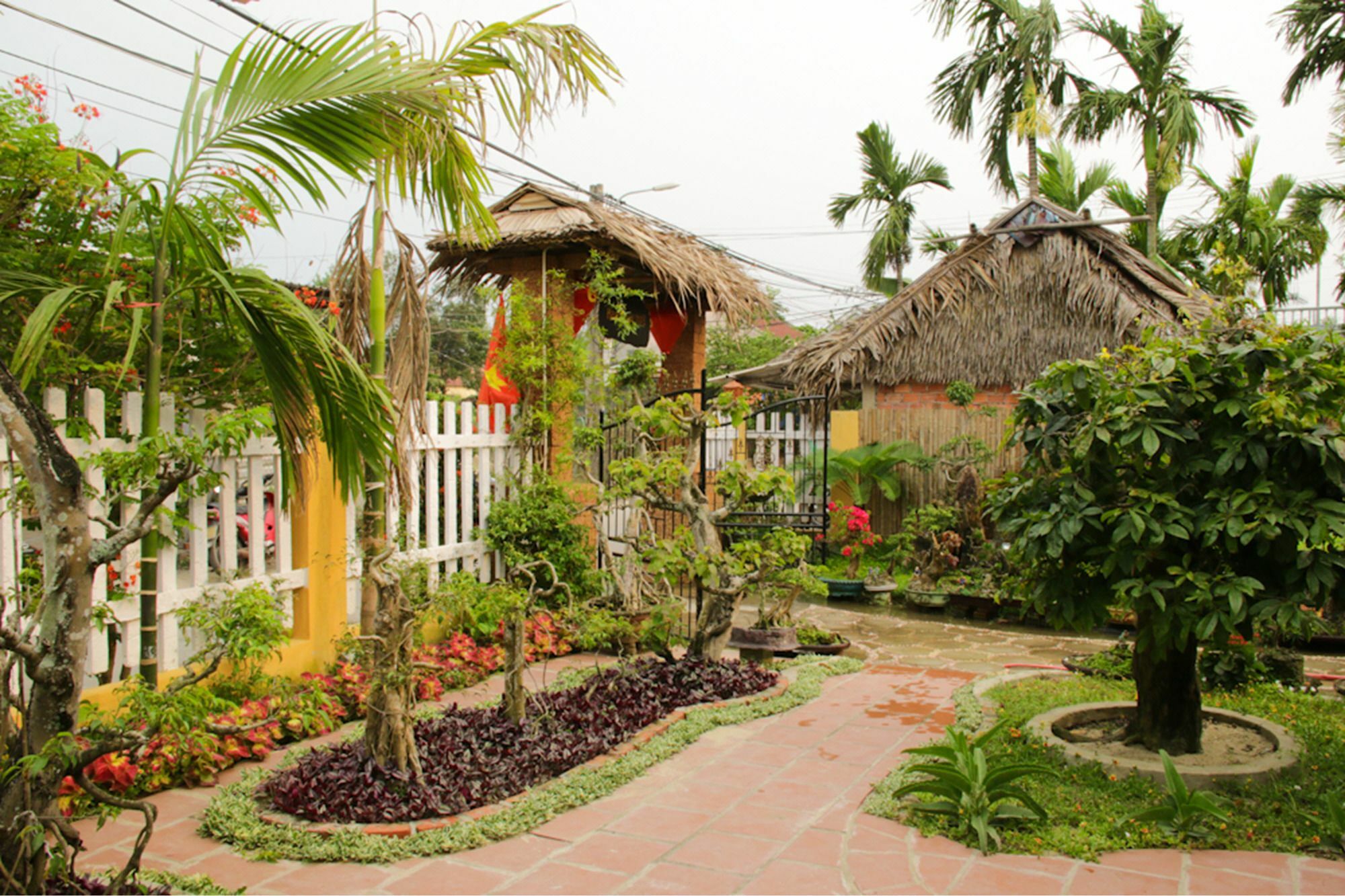 The Grass Vy Hoi An Exterior foto